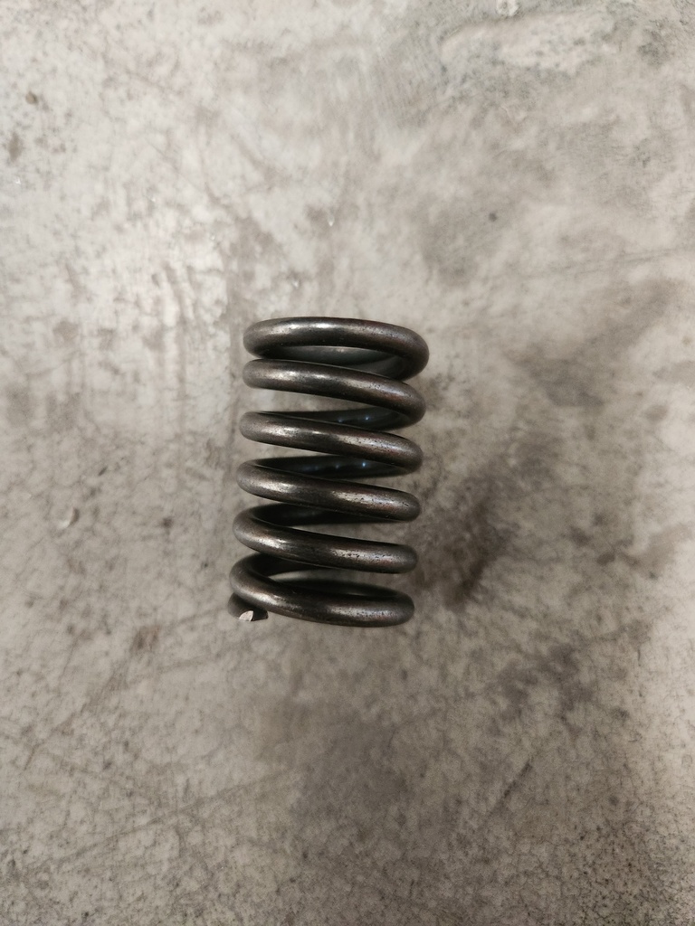 SPRING RESORTE NEGRO 36MM