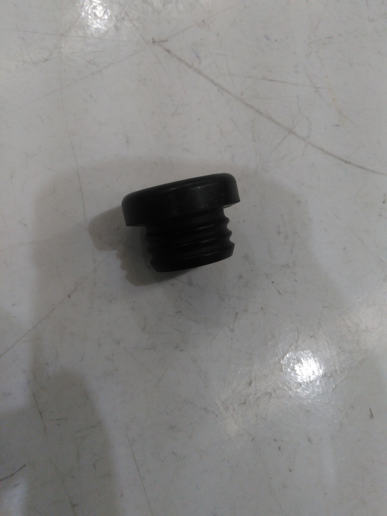 Ruber plug