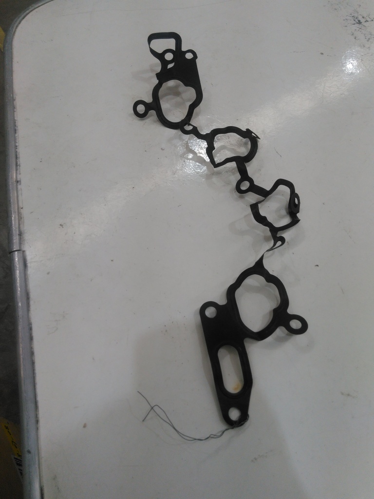 Gasket