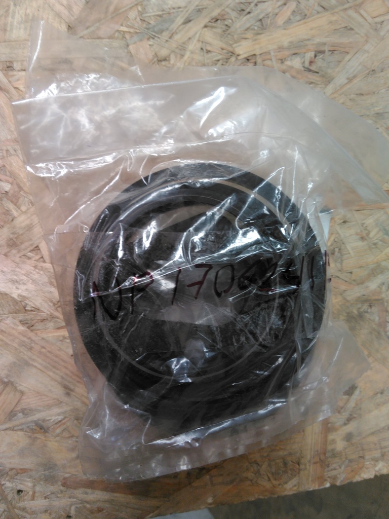 NP 170624115318 -SEAL KIT