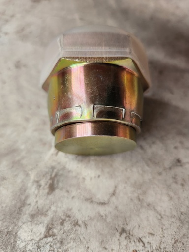 [NP 131023011501] C - TAPON HEXAGONAL TROPICALIZADA 1 1/4 PARECE TAPÓN NP 131023011501