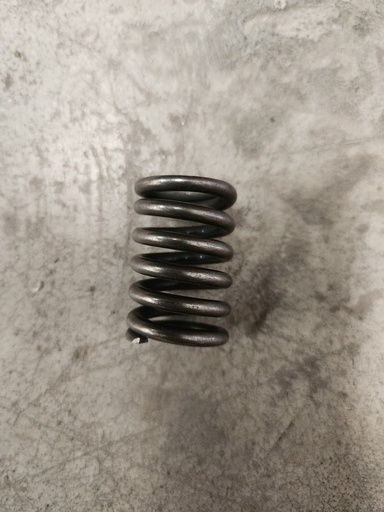 [NP 141023102401] SPRING RESORTE NEGRO 36MM