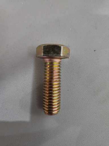 [NP 161023065701] BOLT TORNILLO HEXAGONAL M10 X 30 MM TROPICALIZADO