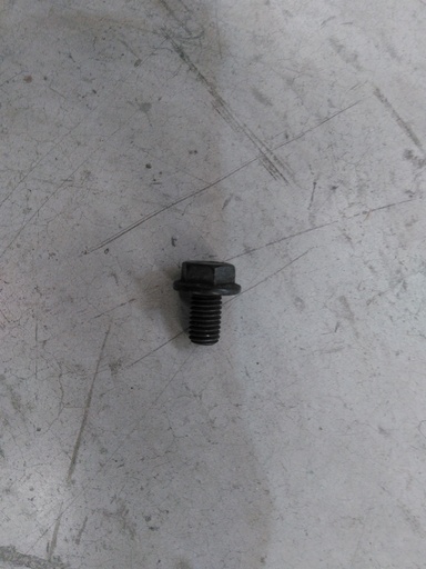 [NP 031123100609] C - BOLT TORNILLO M10 LARGO 1 PULGADA NP 031123100609