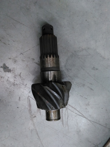 [NP 061123125232] C - PINE NUT GRASS PIÑON NP 061123125232