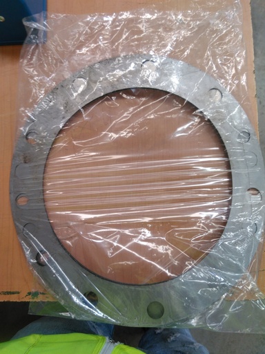 [NP 071223114430] NP 071223114430 ARANDELA