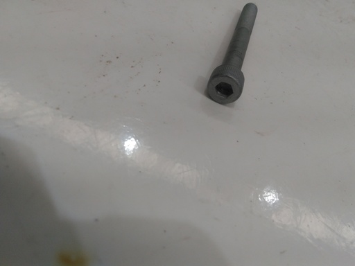 [NP 081223094212] Tornillo Allen