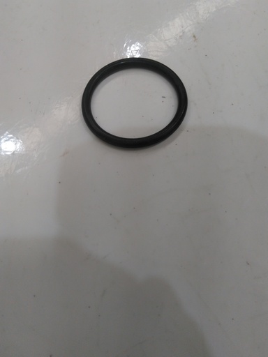 [NP 081223103712] Oring