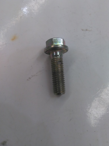 [NP 081223122912] Bolt