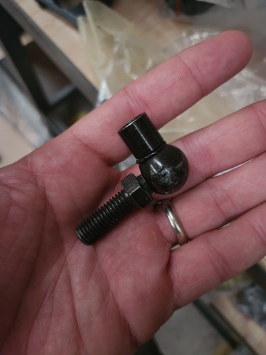 [NP  110523070800] Rotula negra